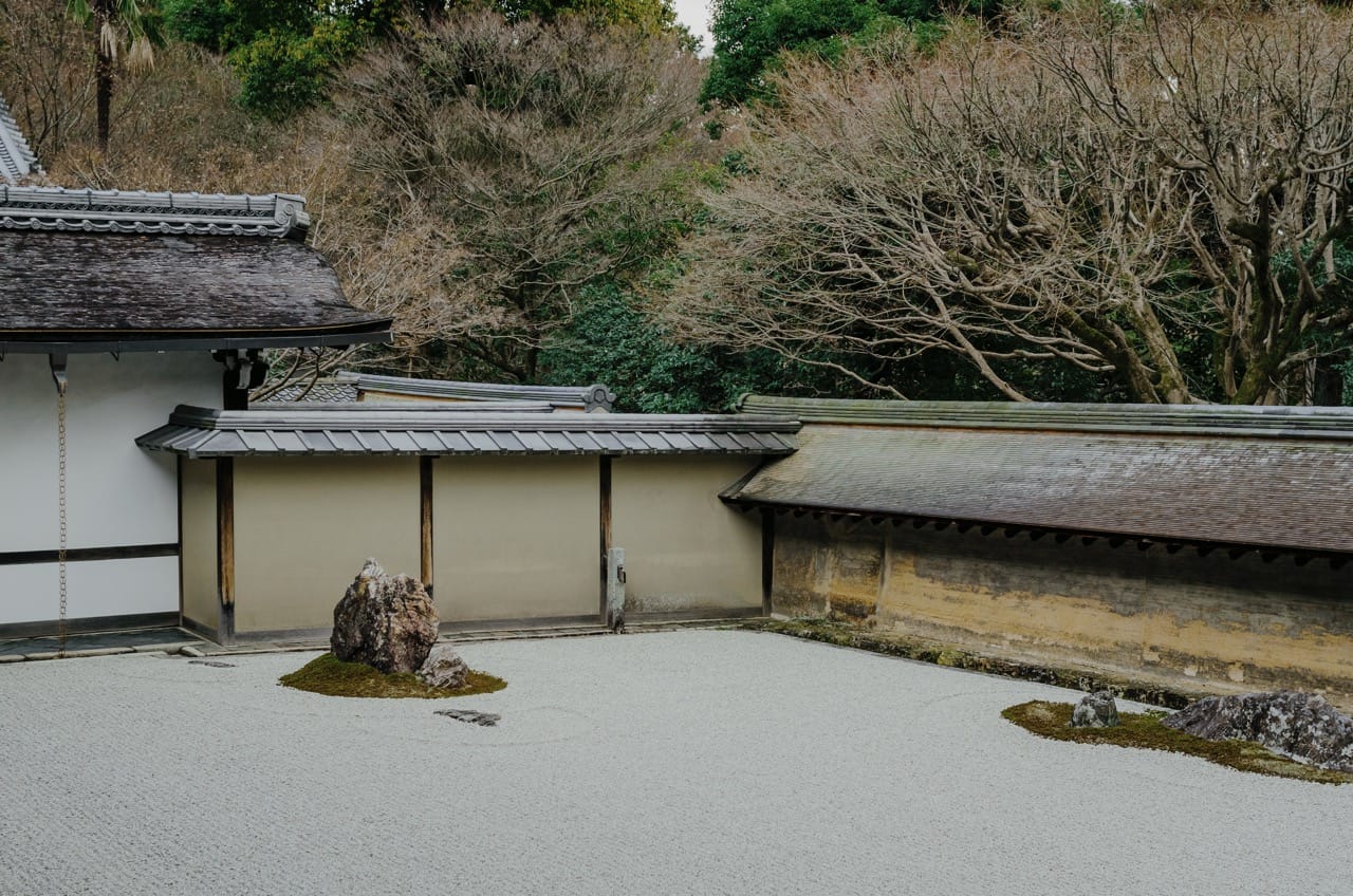 Превью Nara 2024